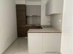 The Florence Residences (D19), Apartment #427579681